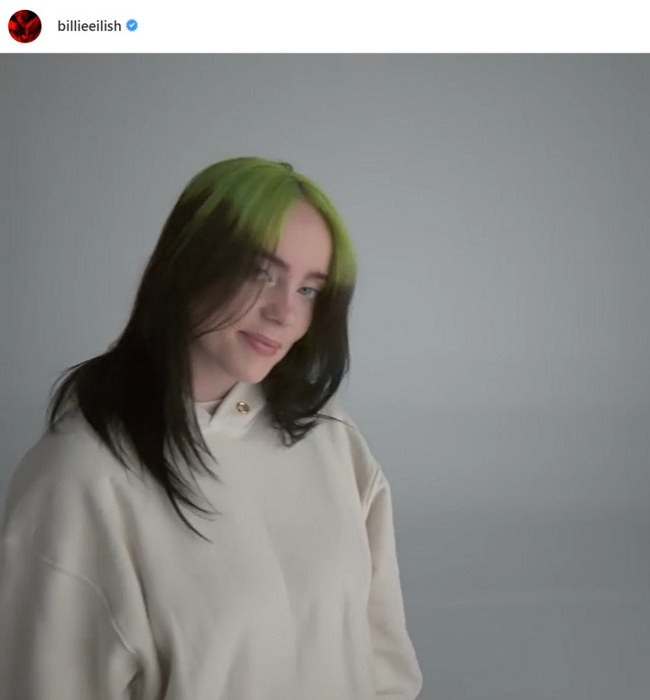 What hoodie is billie eilish wearing in
